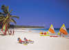 Paradisus Punta Cana 